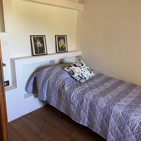 Agriturismo Uliveto Benedetti 斯波莱托 外观 照片
