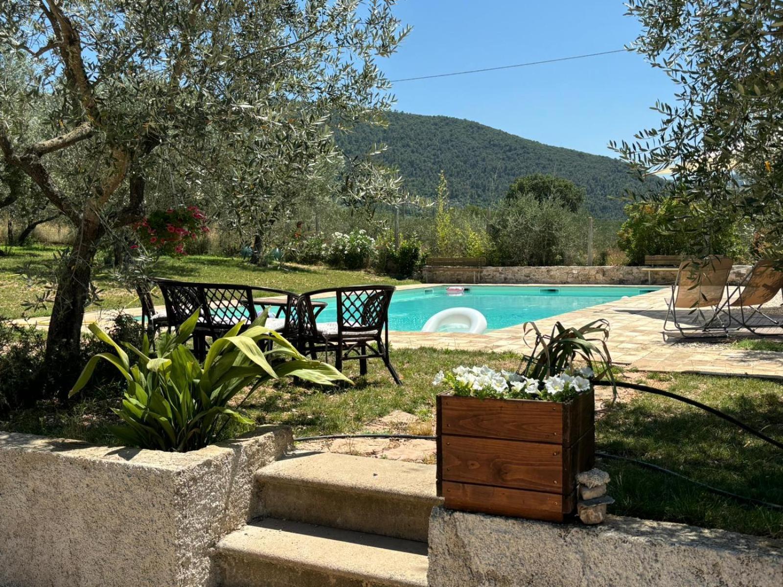 Agriturismo Uliveto Benedetti 斯波莱托 外观 照片